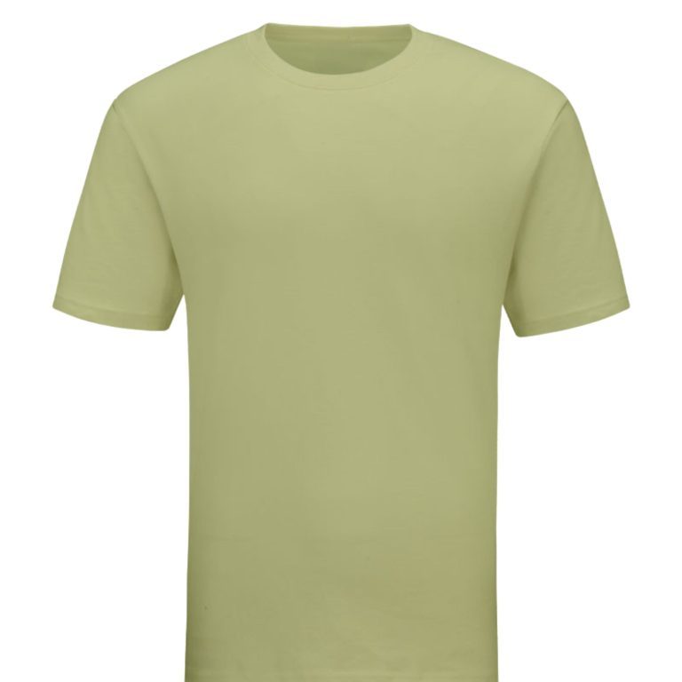 round neck beige shirt for kids