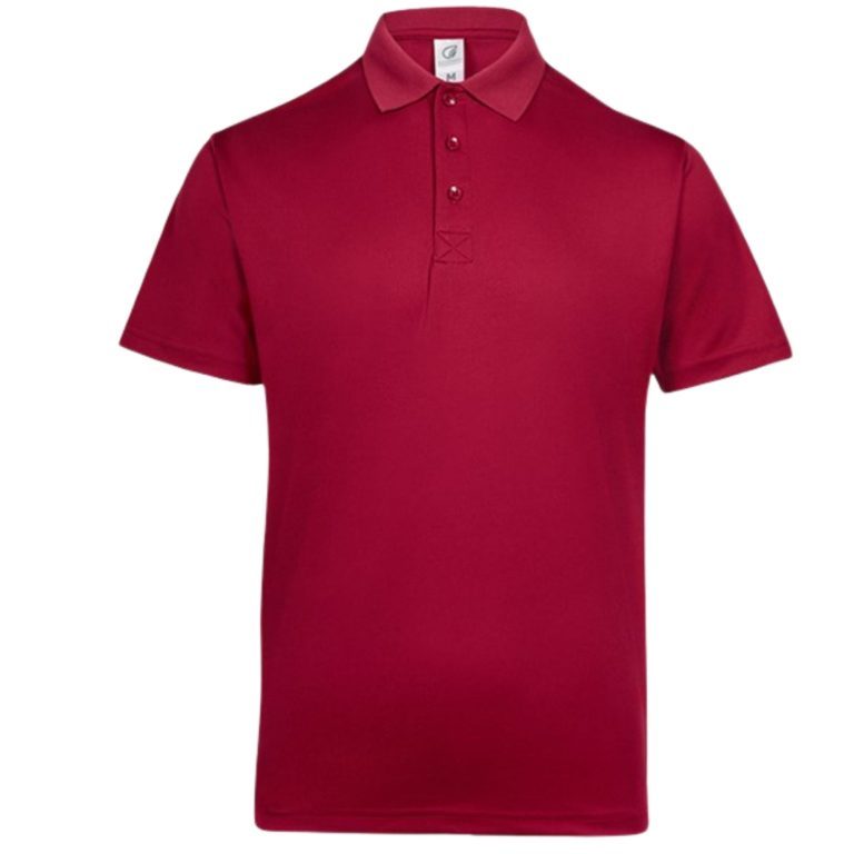 Image showcasing maroon polo shirt
