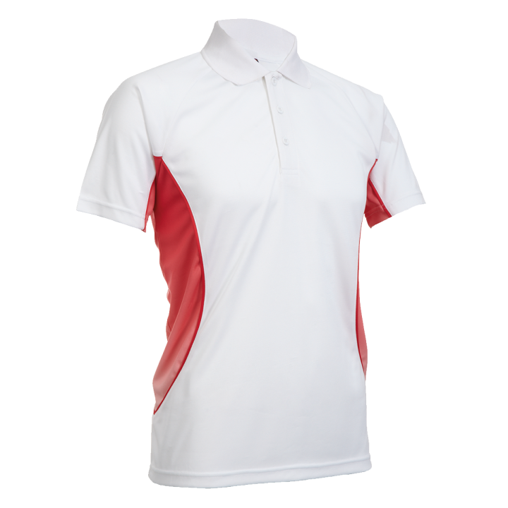 QD31 – 2 Tone Mesh Drifit Polo T-Shirt (Unisex)